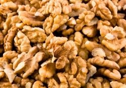 Cardamom